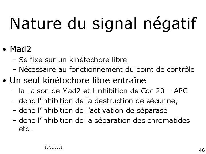 Nature du signal négatif • Mad 2 – Se fixe sur un kinétochore libre