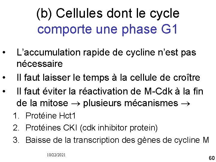 (b) Cellules dont le cycle comporte une phase G 1 • • • L’accumulation