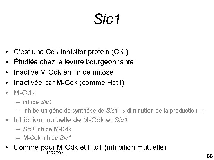 Sic 1 • • • C’est une Cdk Inhibitor protein (CKI) Étudiée chez la