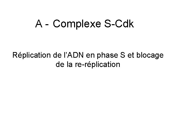 A Complexe S Cdk Réplication de l’ADN en phase S et blocage de la