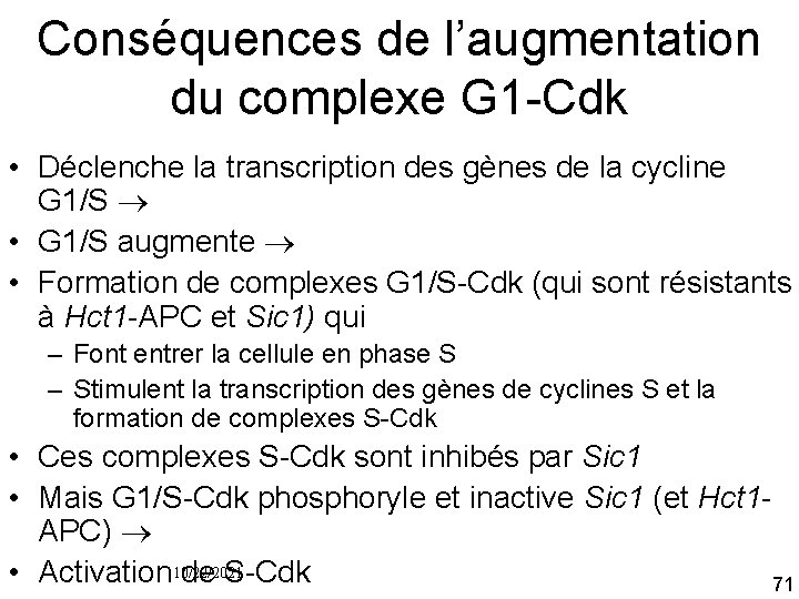 Conséquences de l’augmentation du complexe G 1 Cdk • Déclenche la transcription des gènes