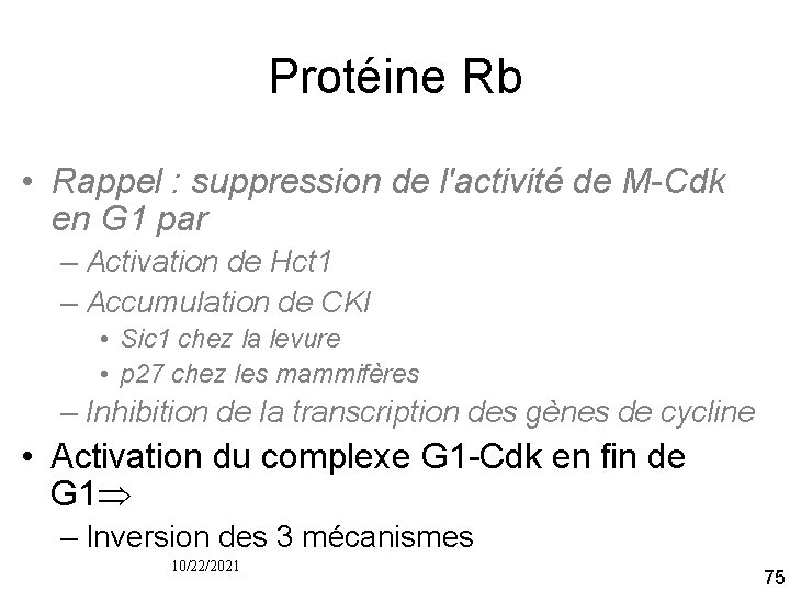 Protéine Rb • Rappel : suppression de l'activité de M-Cdk en G 1 par