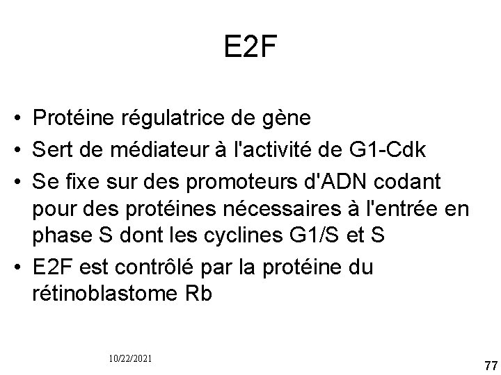 E 2 F • Protéine régulatrice de gène • Sert de médiateur à l'activité
