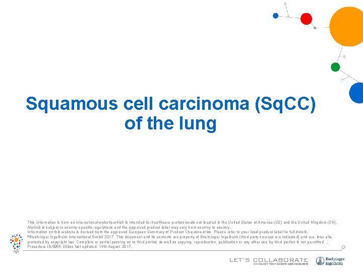 Squamous cell carcinoma (Sq. CC) of the lung This information is from an international