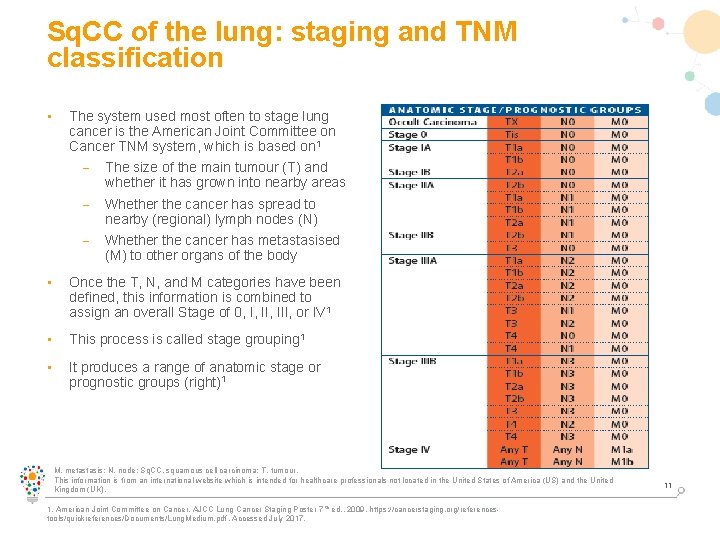 Sq. CC of the lung: staging and TNM classification • The system used most