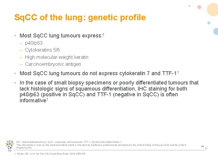 Sq. CC of the lung: genetic profile • Most Sq. CC lung tumours express: