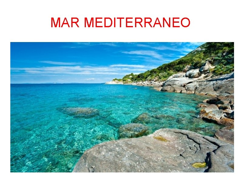 MAR MEDITERRANEO 