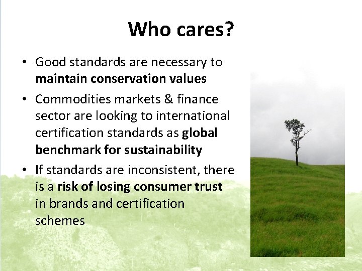 Who cares? • Good standards are necessary to maintain conservation values • Commodities markets