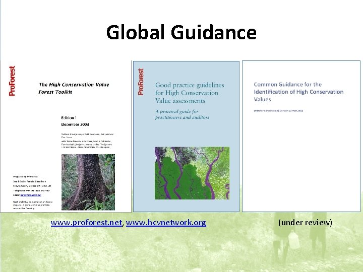 Global Guidance www. proforest. net, www. hcvnetwork. org (under review) 