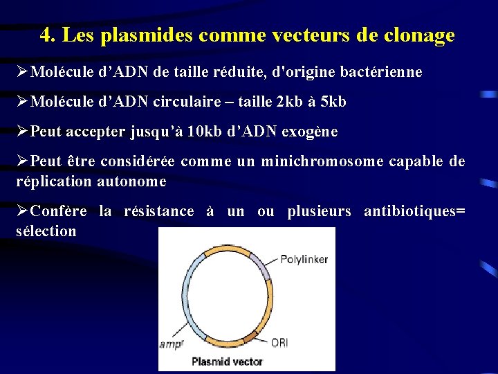 4. Les plasmides comme vecteurs de clonage ØMolécule d’ADN de taille réduite, d'origine bactérienne