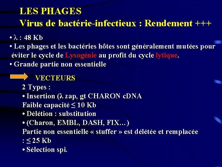 LES PHAGES Virus de bactérie-infectieux : Rendement +++ • λ : 48 Kb •