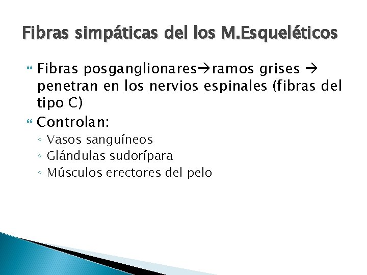 Fibras simpáticas del los M. Esqueléticos Fibras posganglionares ramos grises penetran en los nervios