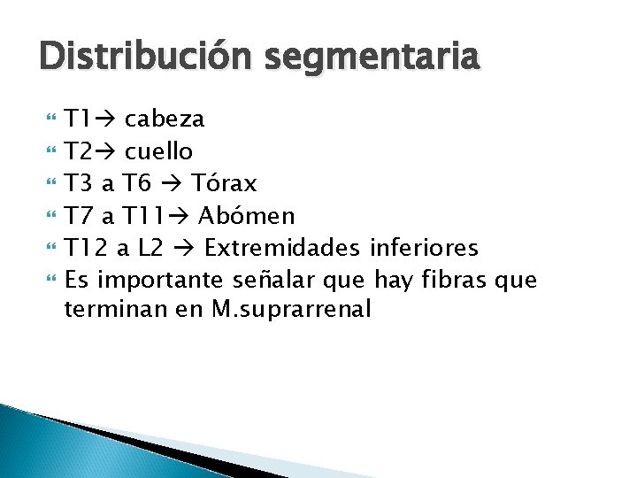 Distribución segmentaria T 1 cabeza T 2 cuello T 3 a T 6 Tórax