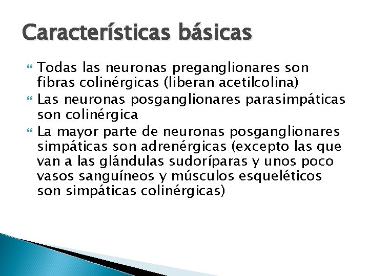 Características básicas Todas las neuronas preganglionares son fibras colinérgicas (liberan acetilcolina) Las neuronas posganglionares