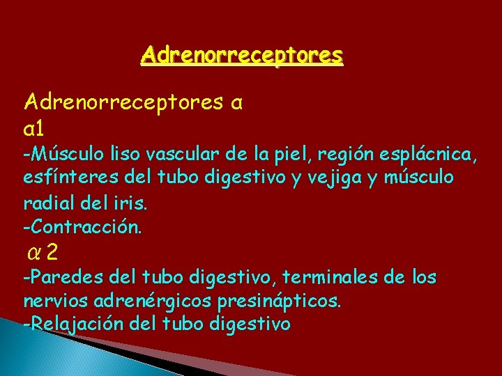 Adrenorreceptores α α 1 -Músculo liso vascular de la piel, región esplácnica, esfínteres del