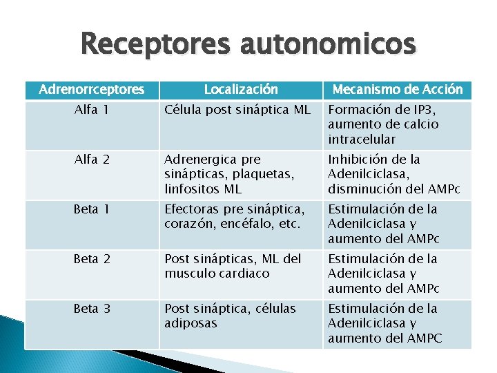 Receptores autonomicos Adrenorrceptores Localización Mecanismo de Acción Alfa 1 Célula post sináptica ML Formación