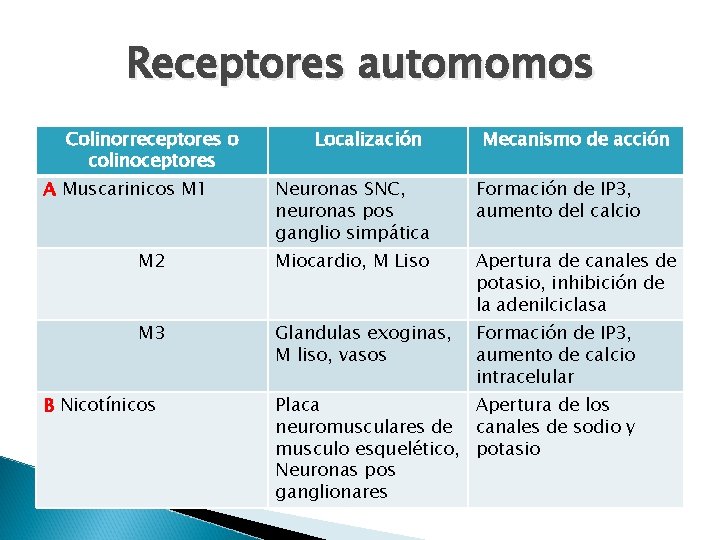 Receptores automomos Colinorreceptores o colinoceptores A Muscarinicos M 1 Localización Mecanismo de acción Neuronas