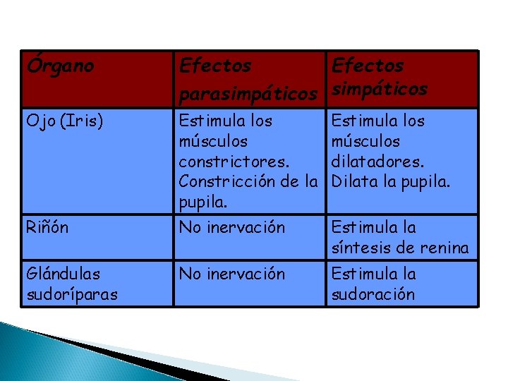 Órgano Efectos parasimpáticos Ojo (Iris) Estimula los músculos constrictores. Constricción de la pupila. Estimula