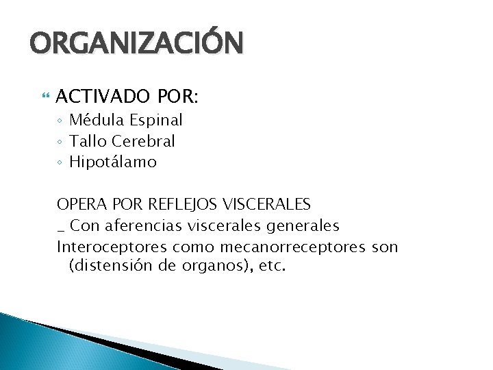 ORGANIZACIÓN ACTIVADO POR: ◦ Médula Espinal ◦ Tallo Cerebral ◦ Hipotálamo OPERA POR REFLEJOS