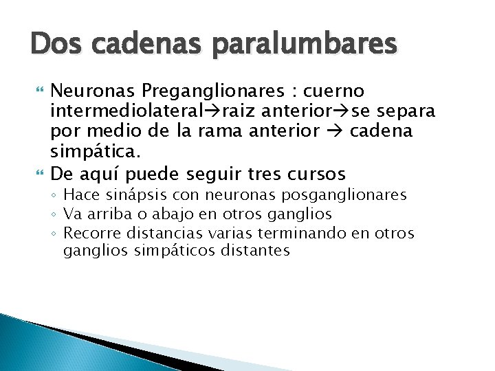 Dos cadenas paralumbares Neuronas Preganglionares : cuerno intermediolateral raiz anterior se separa por medio