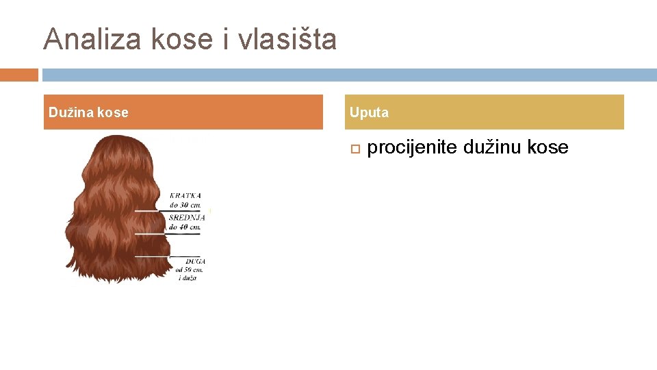 Analiza kose i vlasišta Dužina kose Uputa procijenite dužinu kose 