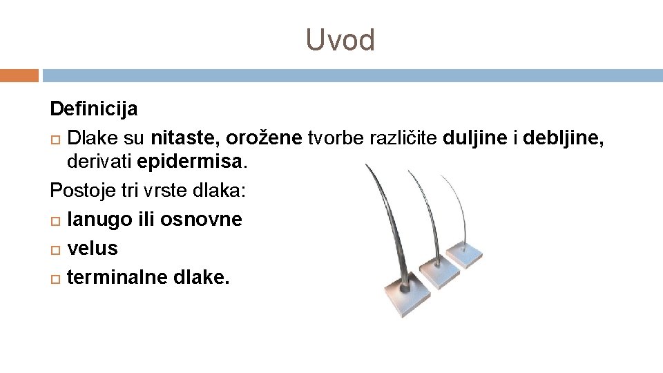 Uvod Definicija Dlake su nitaste, orožene tvorbe različite duljine i debljine, derivati epidermisa. Postoje