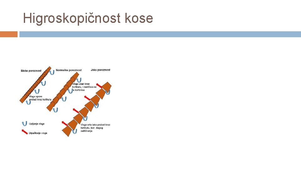 Higroskopičnost kose 