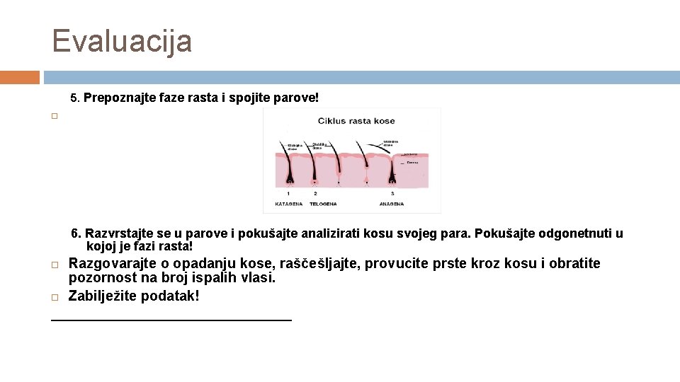 Evaluacija 5. Prepoznajte faze rasta i spojite parove! 6. Razvrstajte se u parove i