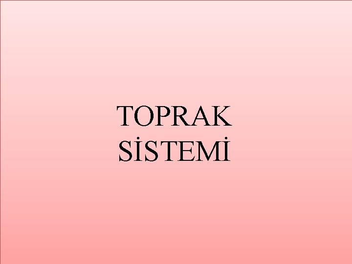 TOPRAK SİSTEMİ 