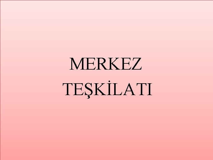 MERKEZ TEŞKİLATI 