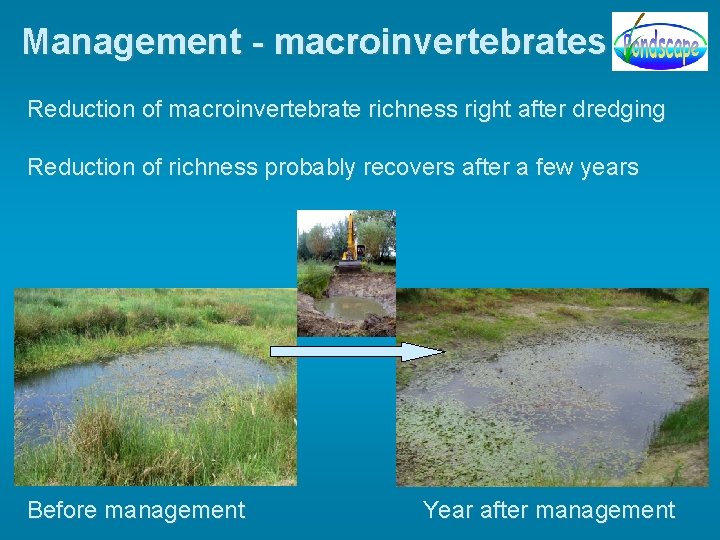 Management - macroinvertebrates Reduction of macroinvertebrate richness right after dredging Reduction of richness probably