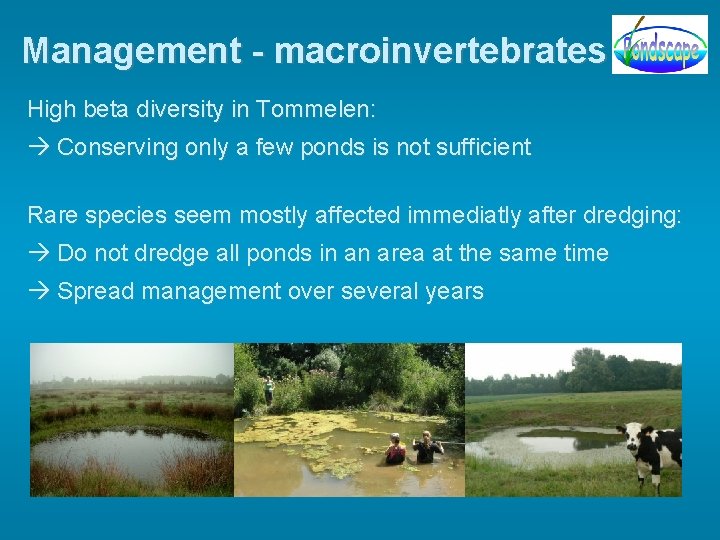 Management - macroinvertebrates High beta diversity in Tommelen: Conserving only a few ponds is Management - macroinvertebrates High beta diversity in Tommelen: Conserving only a few ponds is