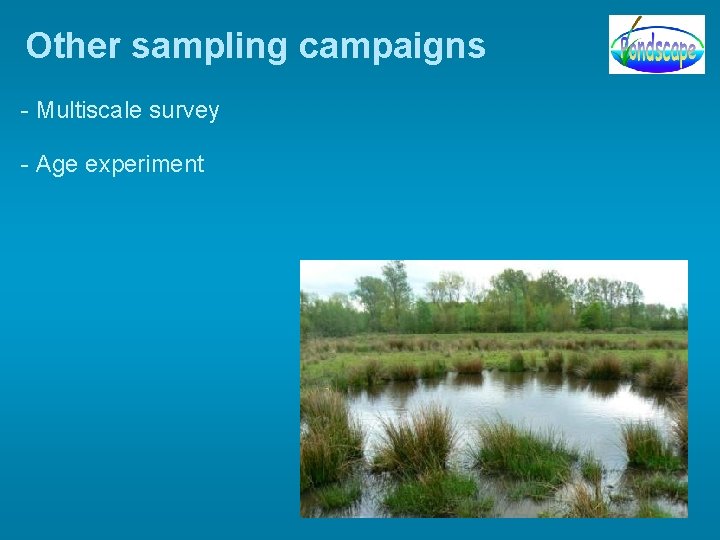 Other sampling campaigns - Multiscale survey - Age experiment Other sampling campaigns - Multiscale survey - Age experiment