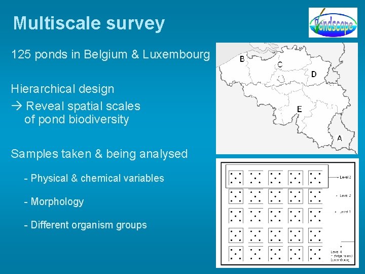 Multiscale survey 125 ponds in Belgium & Luxembourg Hierarchical design Reveal spatial scales of Multiscale survey 125 ponds in Belgium & Luxembourg Hierarchical design Reveal spatial scales of