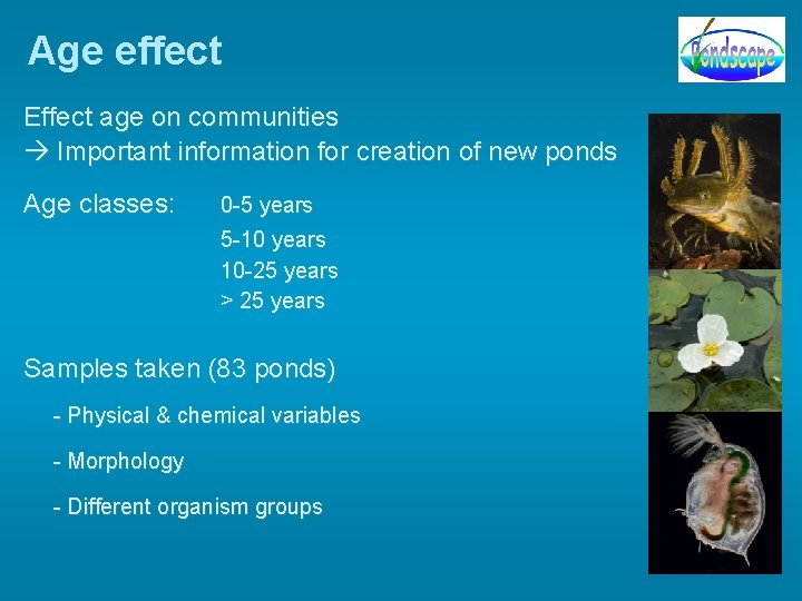 Age effect Effect age on communities Important information for creation of new ponds Age Age effect Effect age on communities Important information for creation of new ponds Age