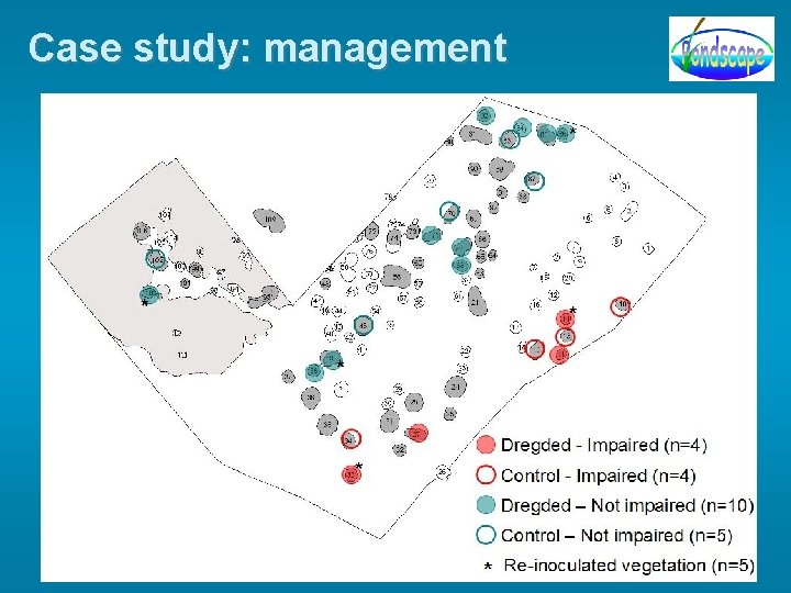 Case study: management 