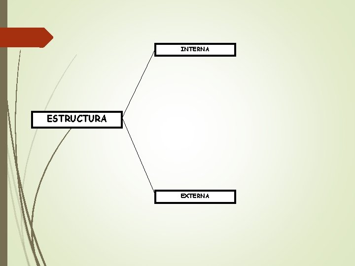 INTERNA ESTRUCTURA EXTERNA 