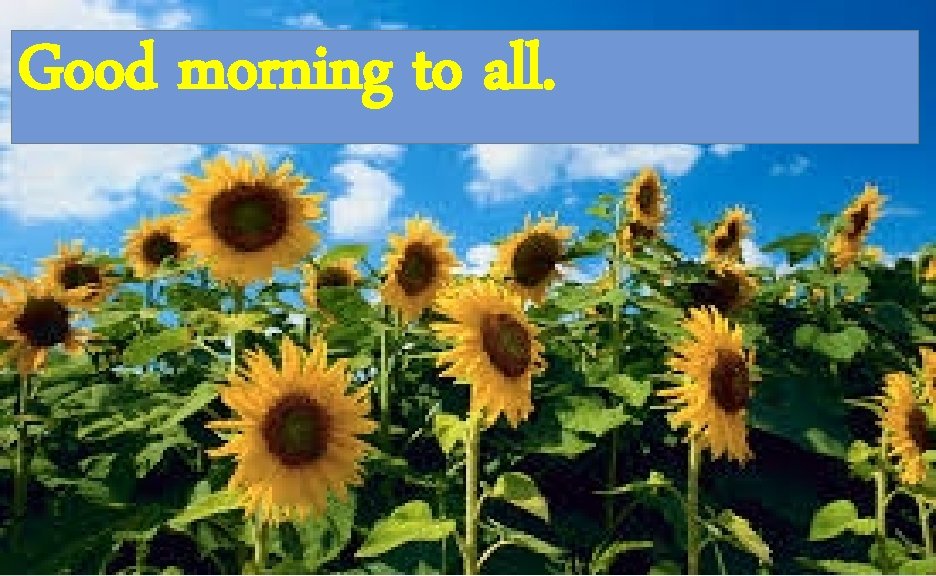 Good morning to all. 