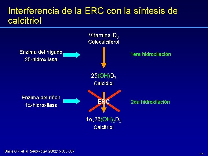 Interferencia de la ERC con la síntesis de calcitriol Vitamina D 3 Colecalciferol Enzima