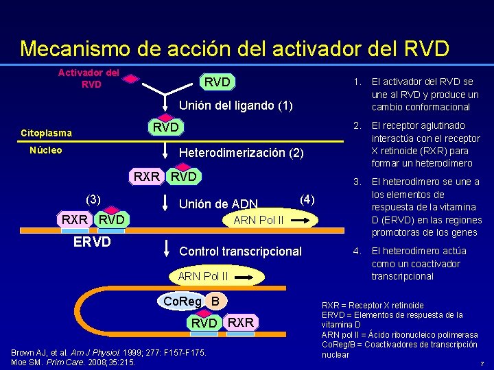 Mecanismo de acción del activador del RVD Activador del RVD 1. El activador del
