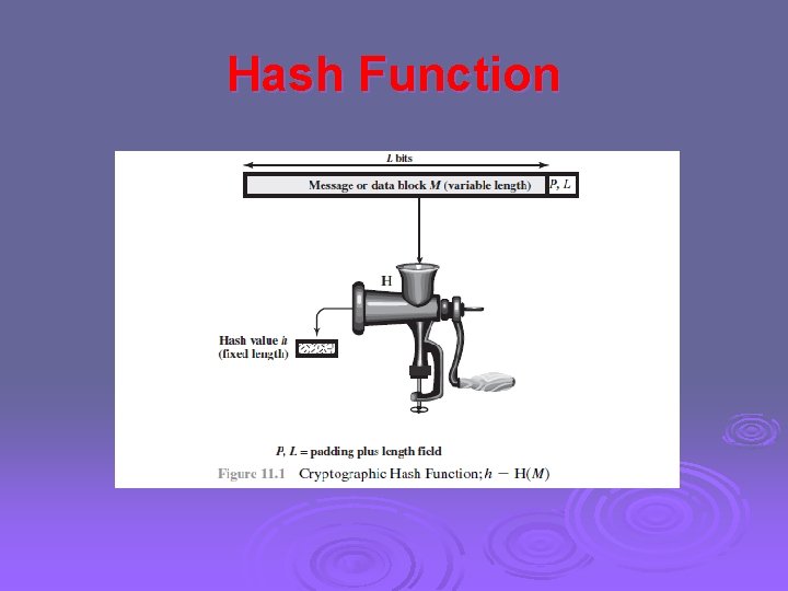 Hash Function 