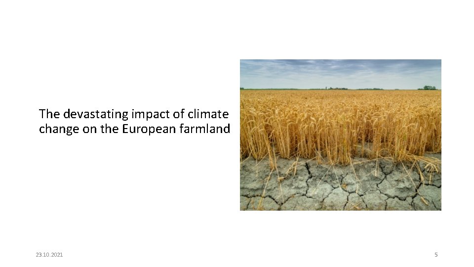 The devastating impact of climate change on the European farmland 23. 10. 2021 5