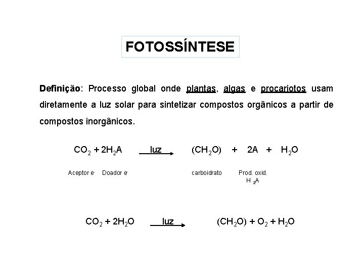 FOTOSSÍNTESE Definição: Processo global onde plantas, algas e procariotos usam diretamente a luz solar