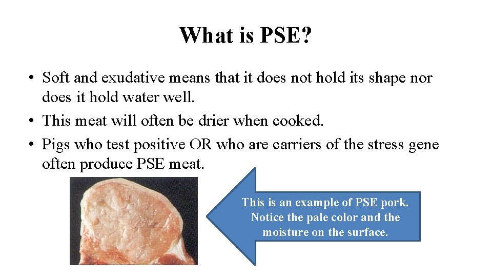 What is PSE? • Soft and exudative means that it does not hold its