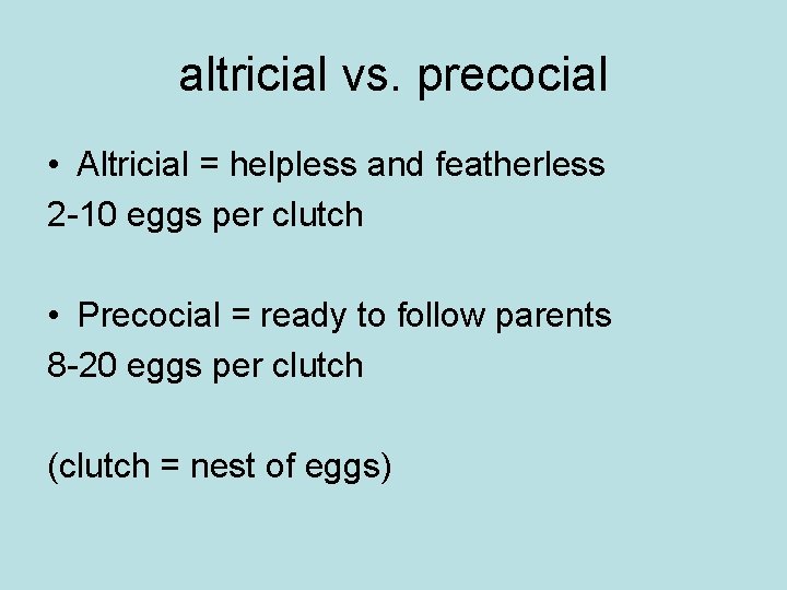 altricial vs. precocial • Altricial = helpless and featherless 2 -10 eggs per clutch