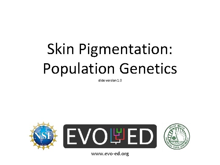 Skin Pigmentation: Population Genetics slide version 1. 0 www. evo-ed. org 