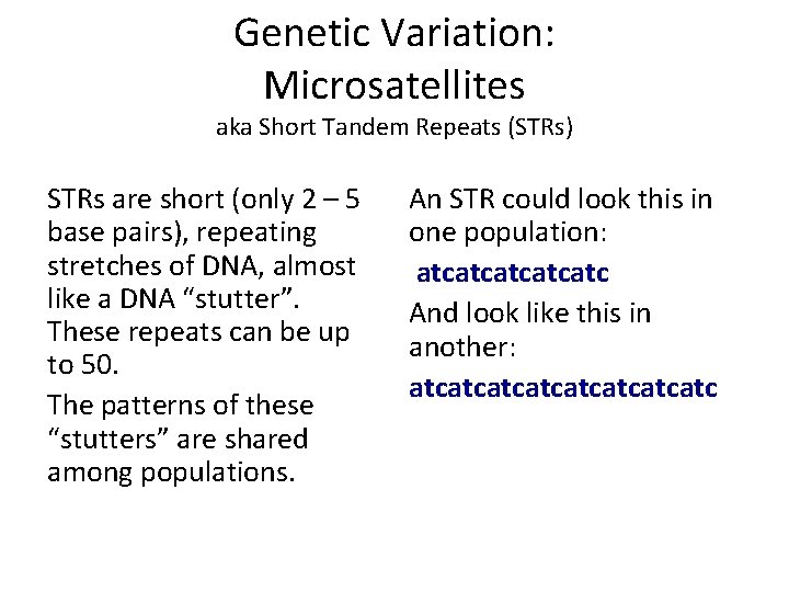 Genetic Variation: Microsatellites aka Short Tandem Repeats (STRs) STRs are short (only 2 –