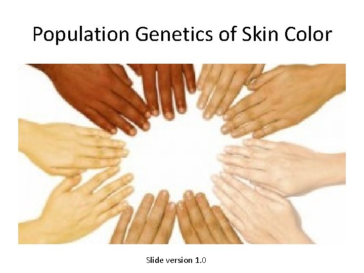 Population Genetics of Skin Color Slide version 1. 0 