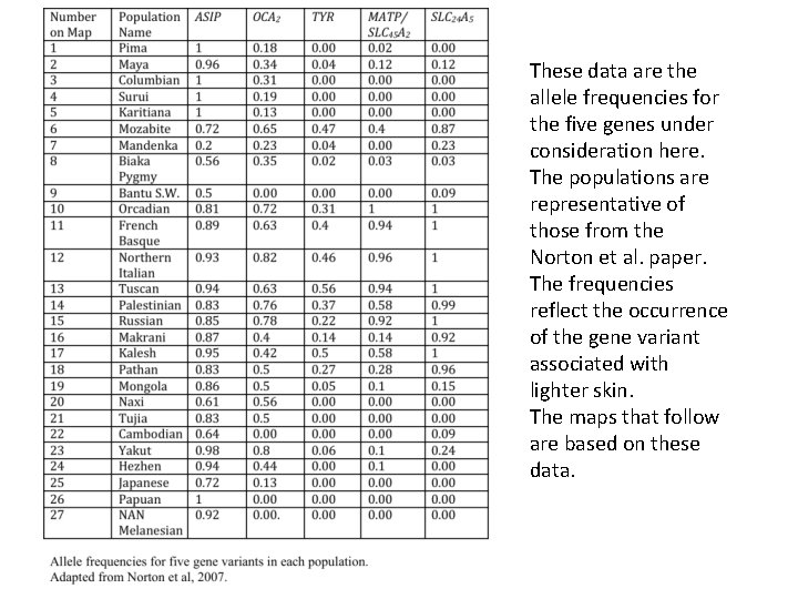 These data are the allele frequencies for the five genes under consideration here. The