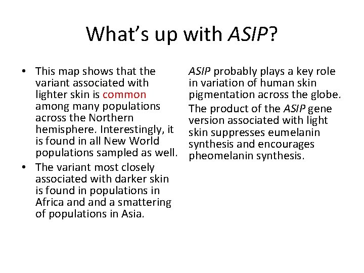 What’s up with ASIP? • This map shows that the variant associated with lighter
